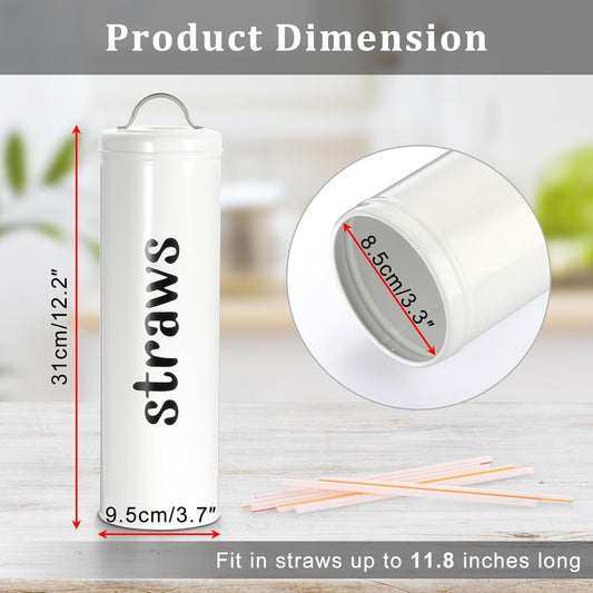 Metal Straw Holder, 12 Inch Tall Drinking Straw Dispenser with Handle Lid