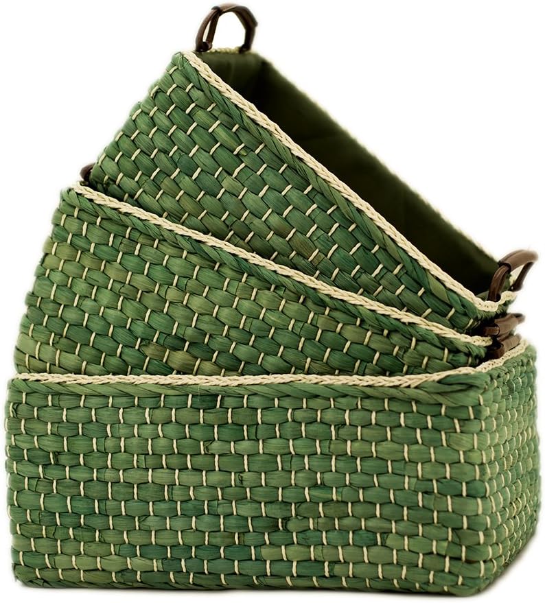 Kingwillow Basket Woven Maize Straw Storage with Handle(Green,Small)